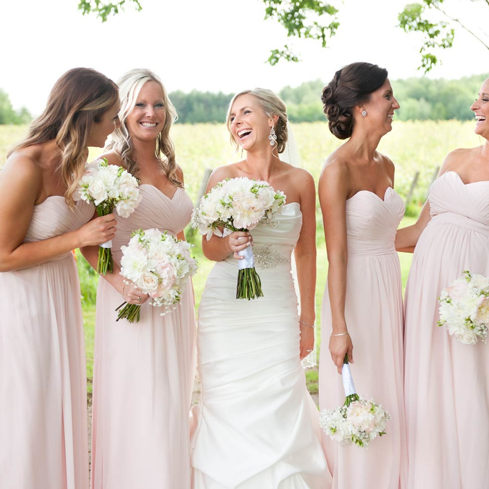 <?php echo pulse_output(); ?>